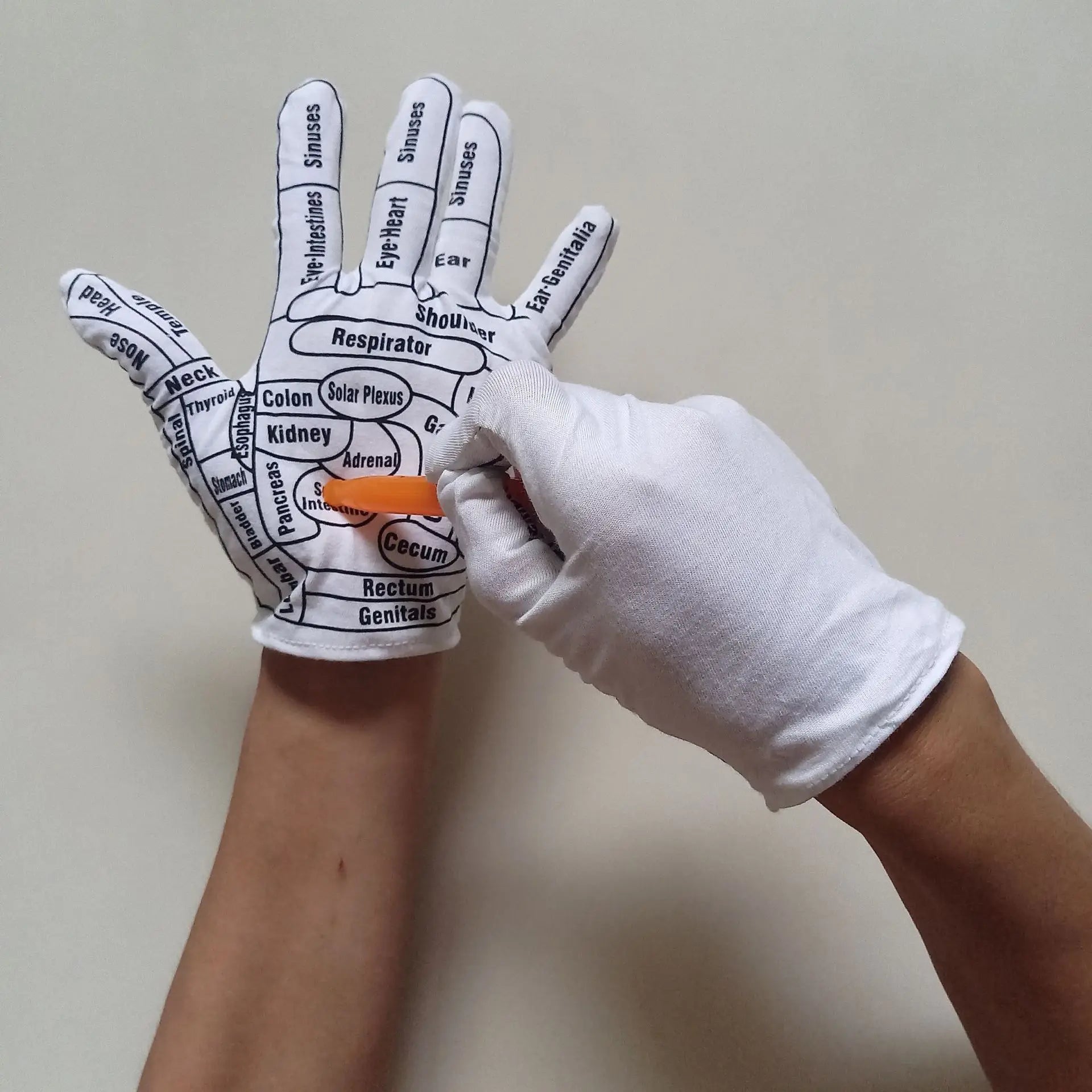 BioLink Socks – Connects your feet to your inner systems.