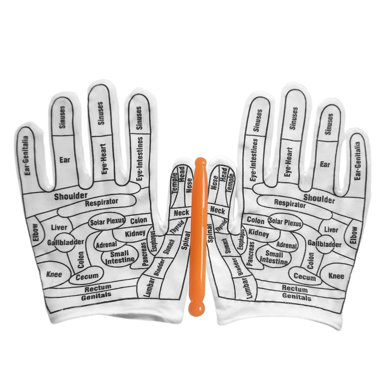 BioLink Socks – Connects your feet to your inner systems.