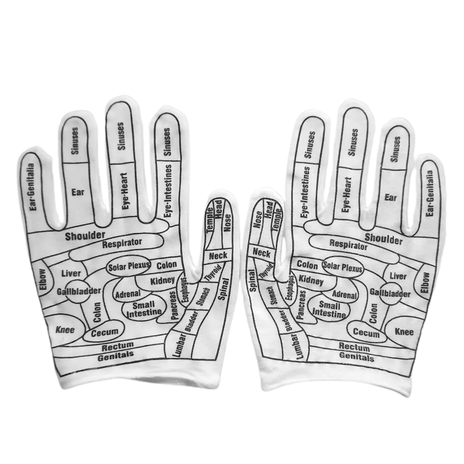 BioLink Socks – Connects your feet to your inner systems.