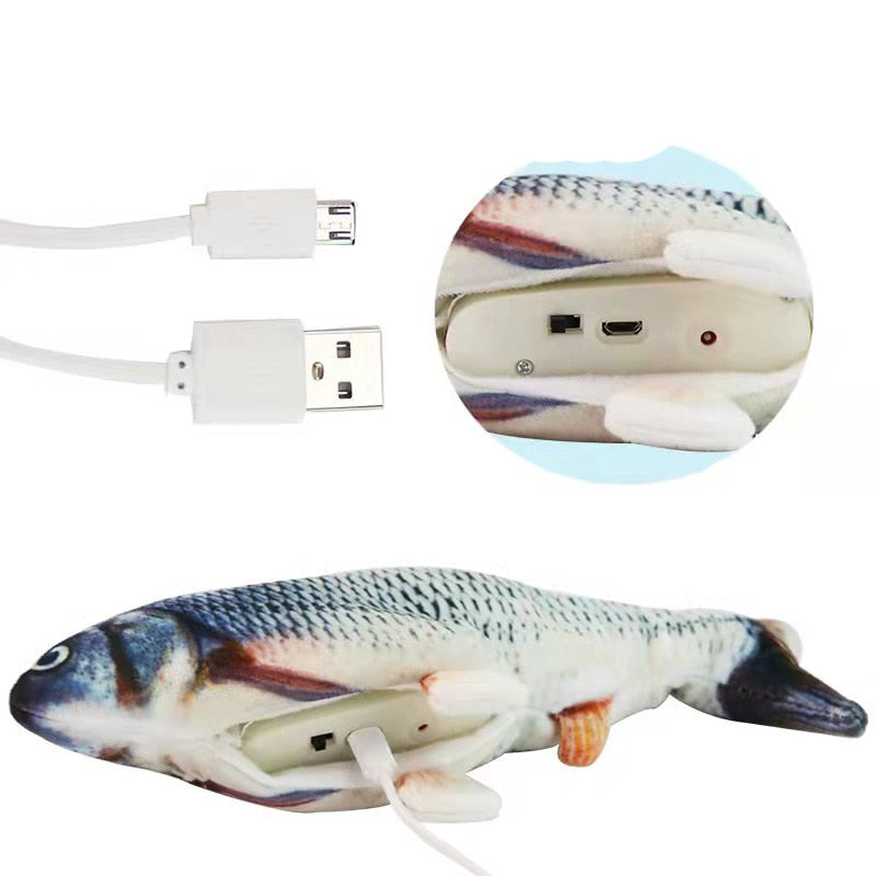 Fishy Pet for cats