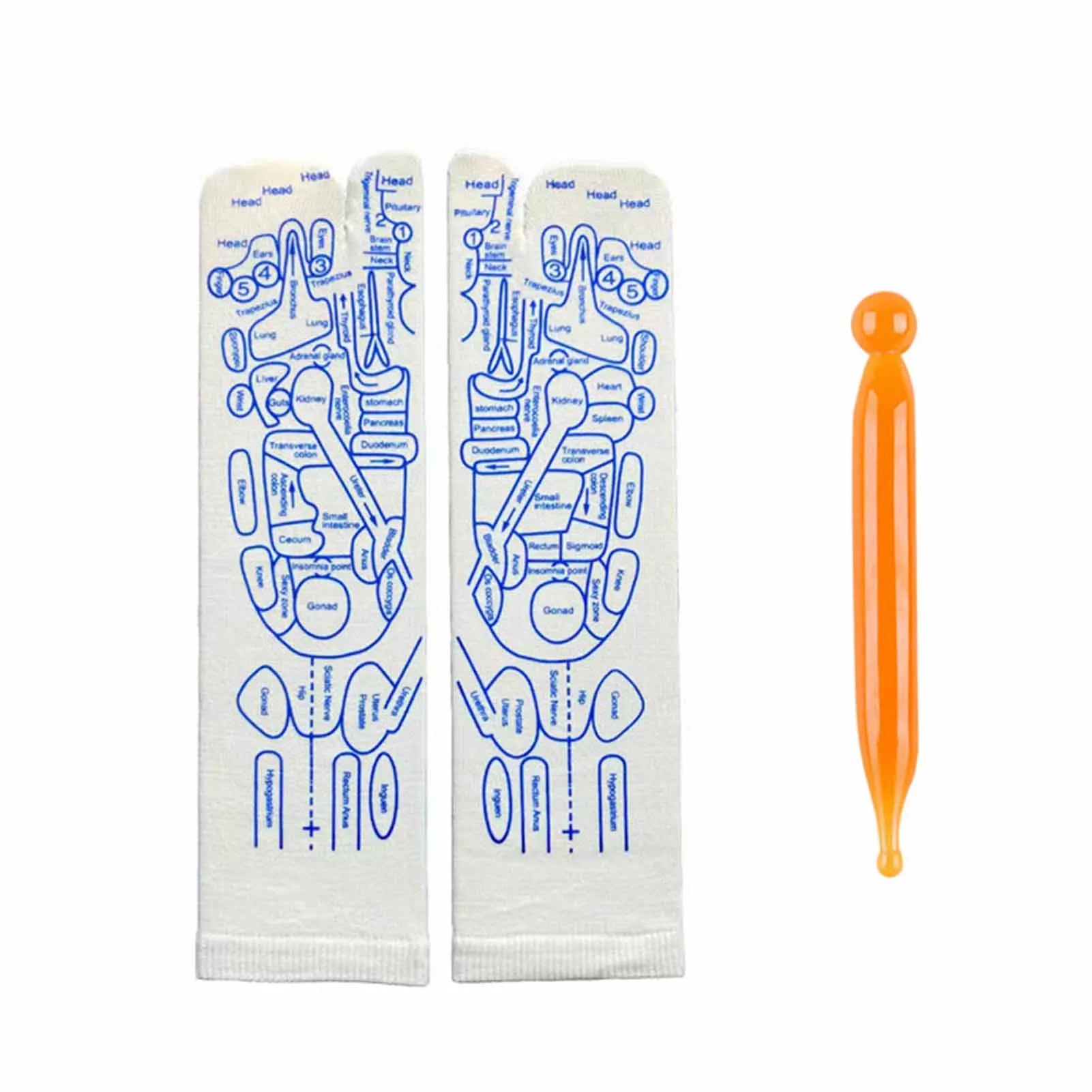 BioLink Socks – Connects your feet to your inner systems.