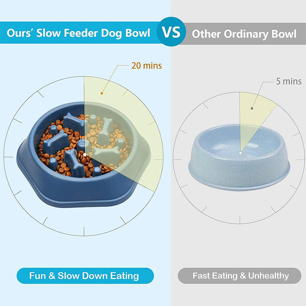 slow dog plate