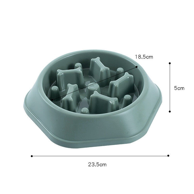 slow dog plate