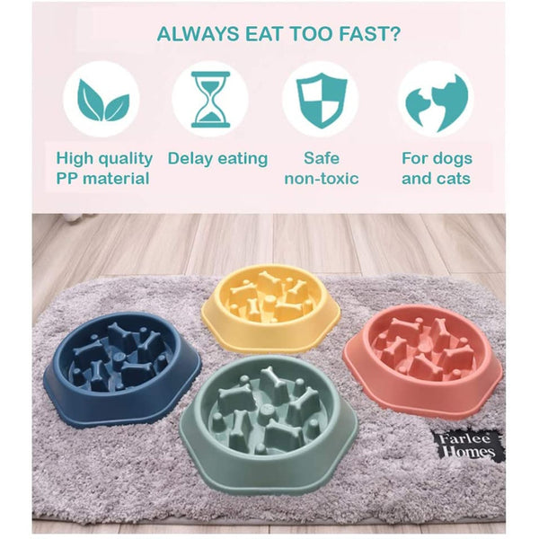 slow dog plate