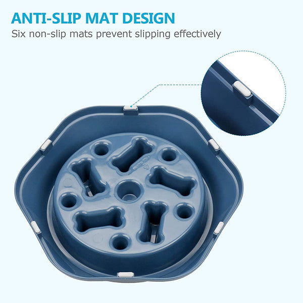 slow dog plate