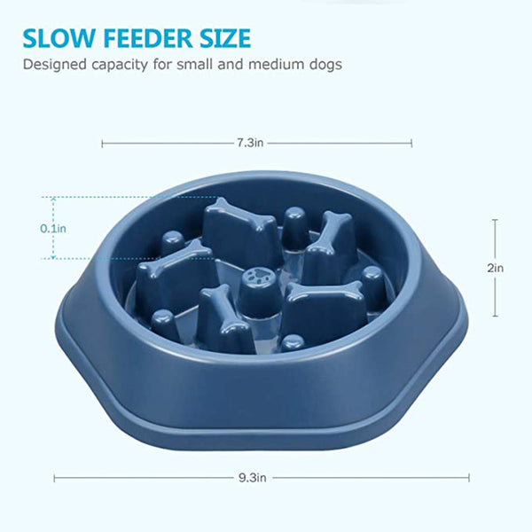 slow dog plate