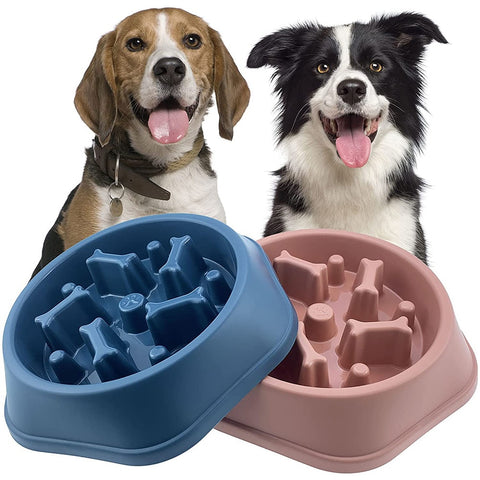 slow dog plate
