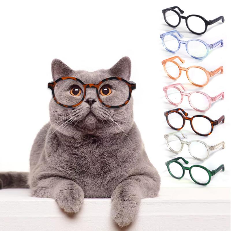 Premium Glasses For pets