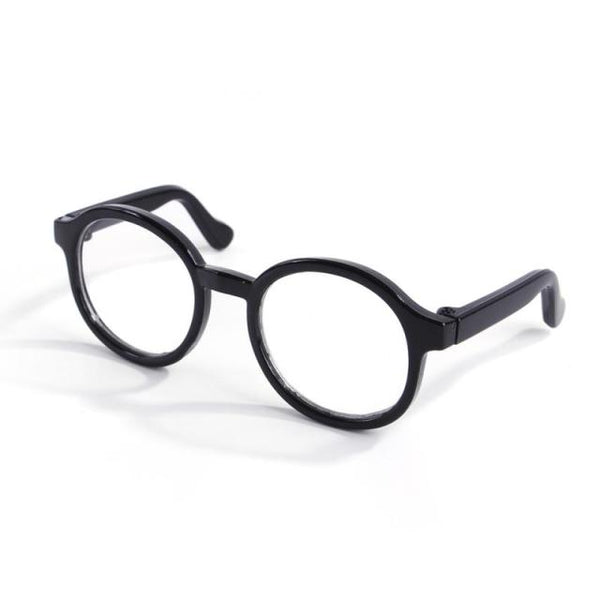 Premium Glasses For pets